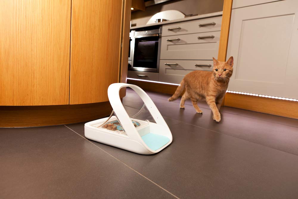 Microchip Automatic Pet Feeder for Wet and Dry Food Q275508