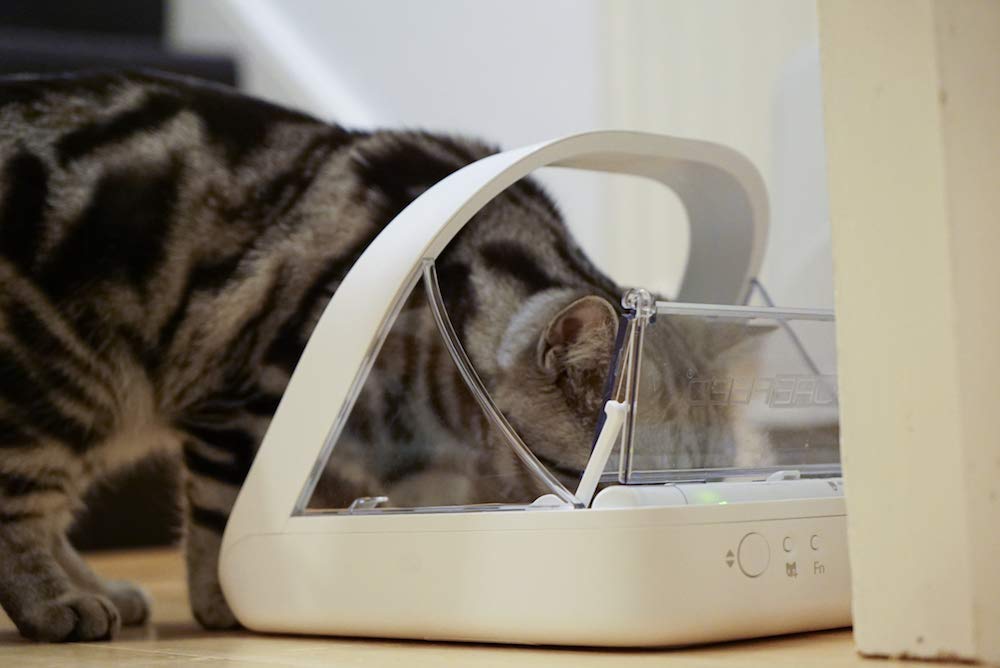 Microchip Automatic Pet Feeder for Wet and Dry Food Q275508