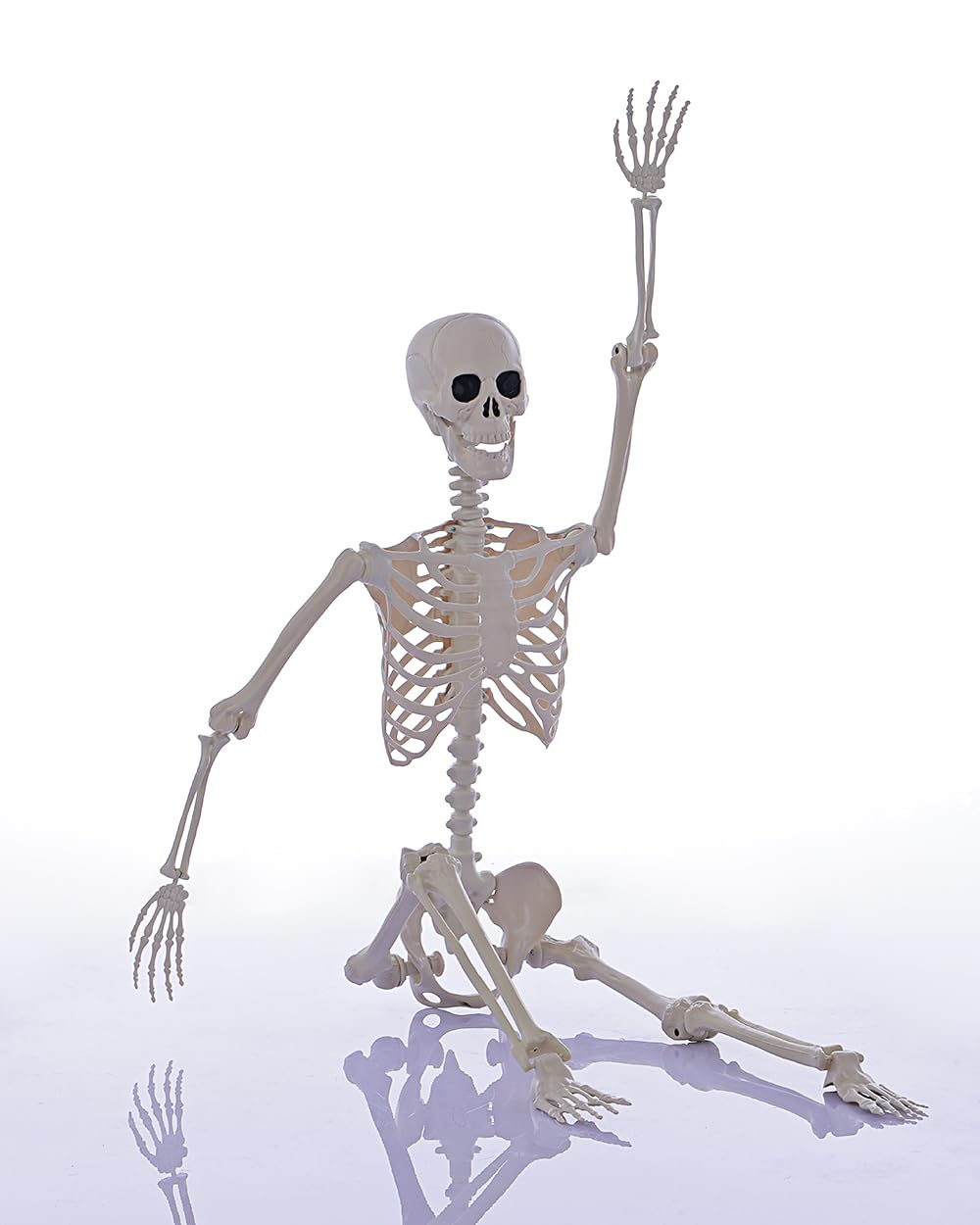 Life Size Posable Full Body Skeleton with Movable Joints E9270