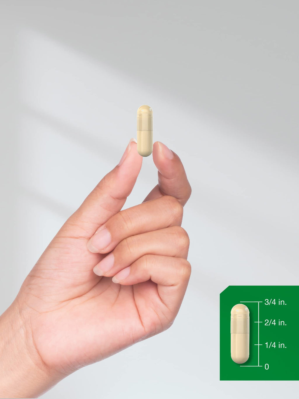 Cinnamon Capsules 150 Count R107