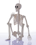 Life Size Posable Full Body Skeleton with Movable Joints E9270