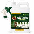 Weed & Grass Killer 1 Gallon with Sprayer X184