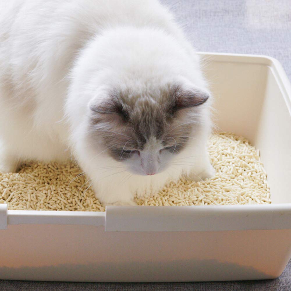 Natural Soy Tofu Cat Litter, Clumping, Flushable, Unscented, 2 Pack F712