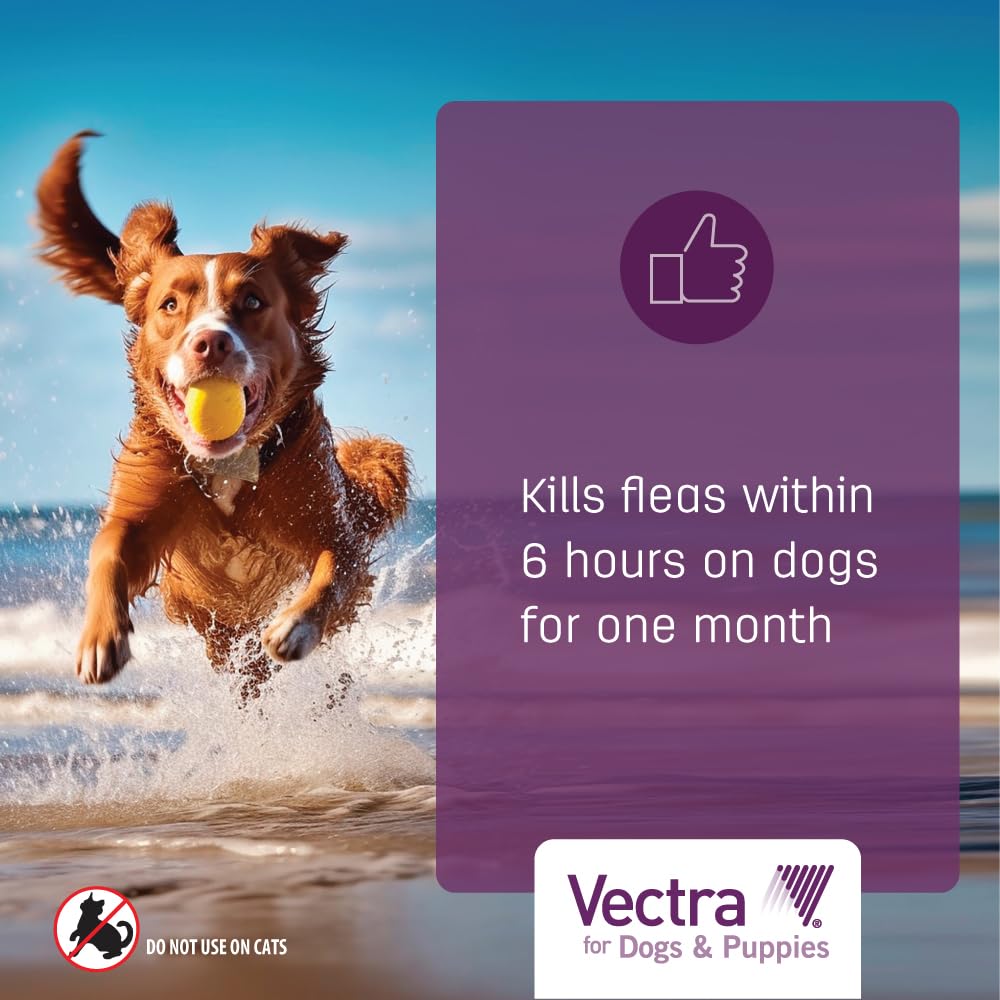 Flea Treatment & Prevention for Extra Small Dogs 3-Month Supply G7590