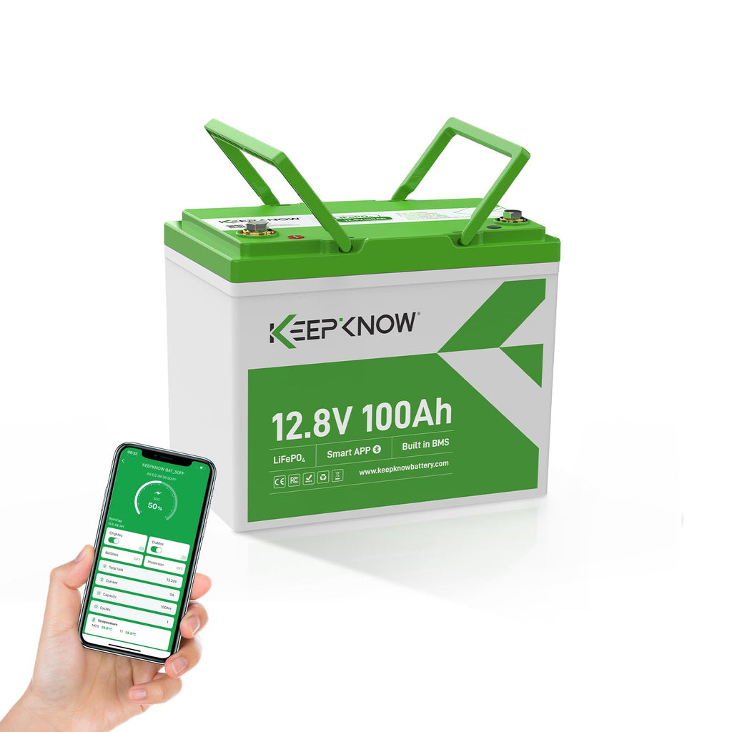12V 100Ah Mini LiFePO4 Lithium Battery with Bluetooth W4195