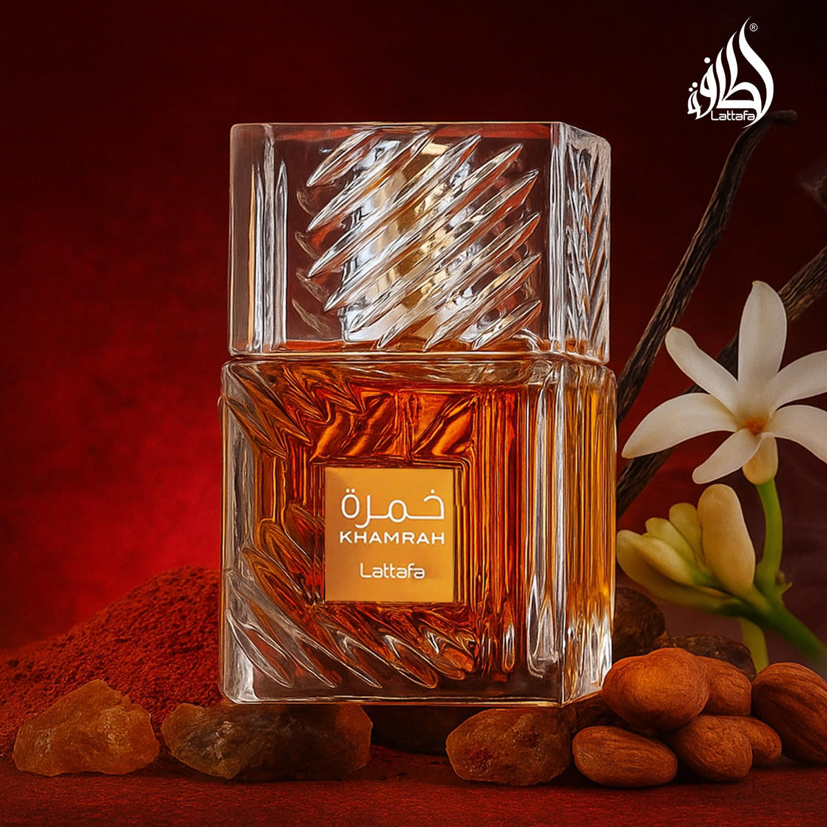 Vanilla Warm Spicy Amber Cinnamon Eau de Parfum 3.40 Ounce / 100 ml N21634