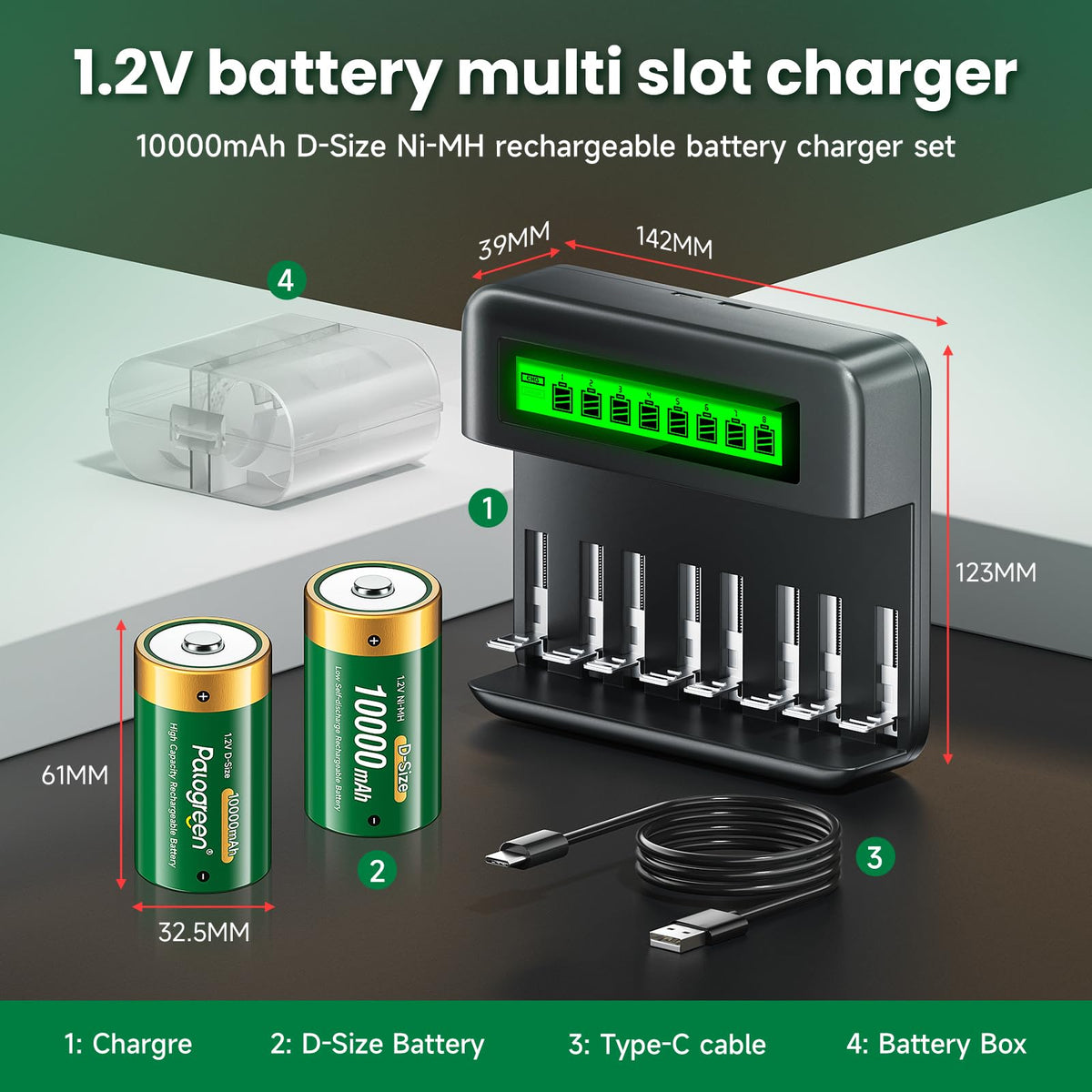 Rechargeable D Batteries with Charger R518