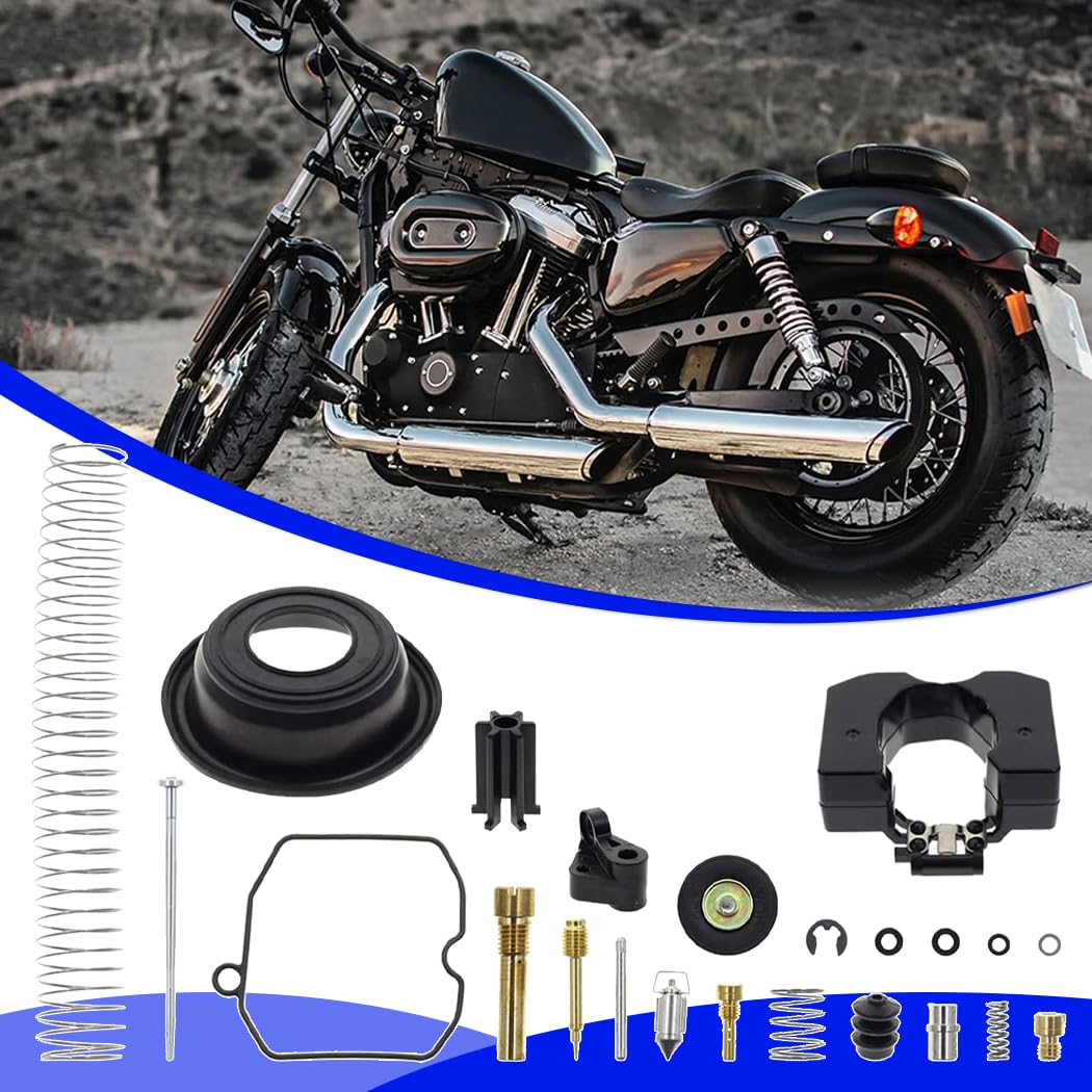 Carburetor Rebuild Kit 40mm D9559