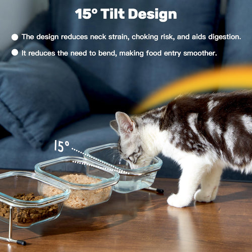 15° Tilted Glass Raised Cat Bowls E7013