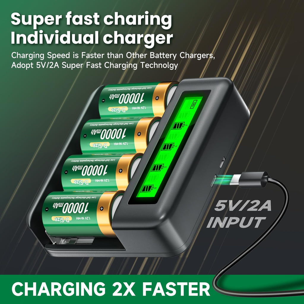 Rechargeable D Batteries with Charger R518