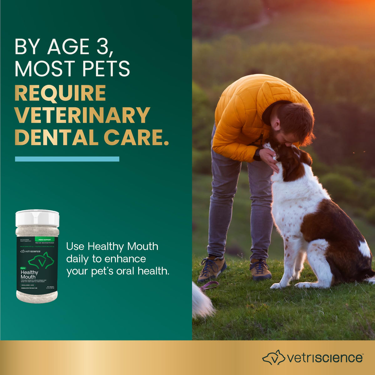 Dental Care Powder for Dogs and Cats, 4.2 oz D115211