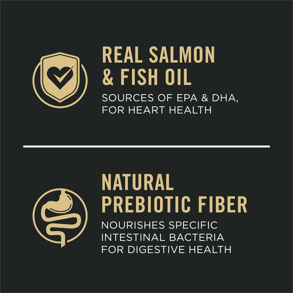 Salmon Dry Dog Food B760603