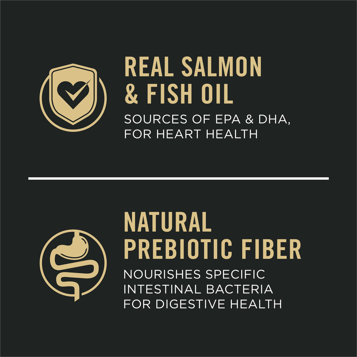 Salmon Dry Dog Food B760603