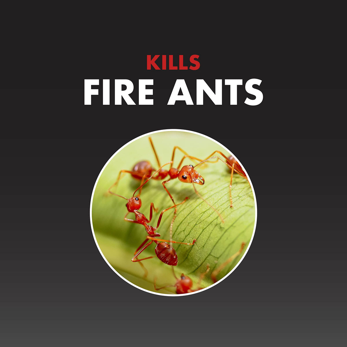 Fire Ant Killer Granules 5 Lb L897605