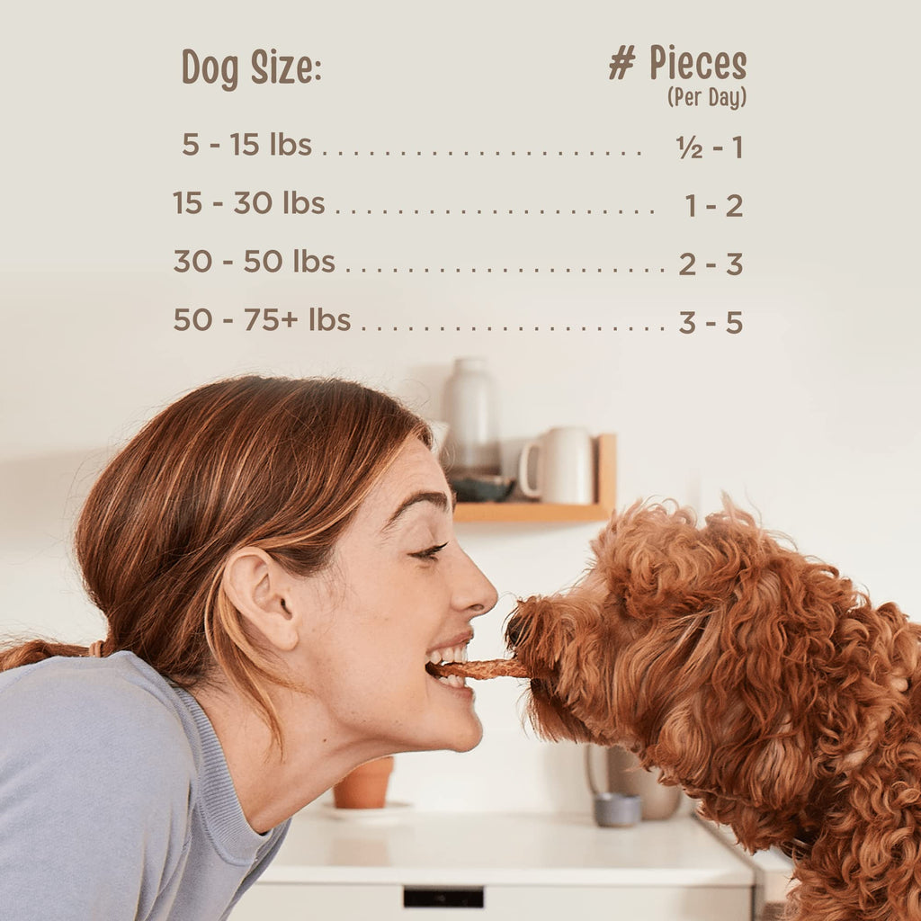 Chicken Jerky Tenders Dog Treats 26 oz Z7909