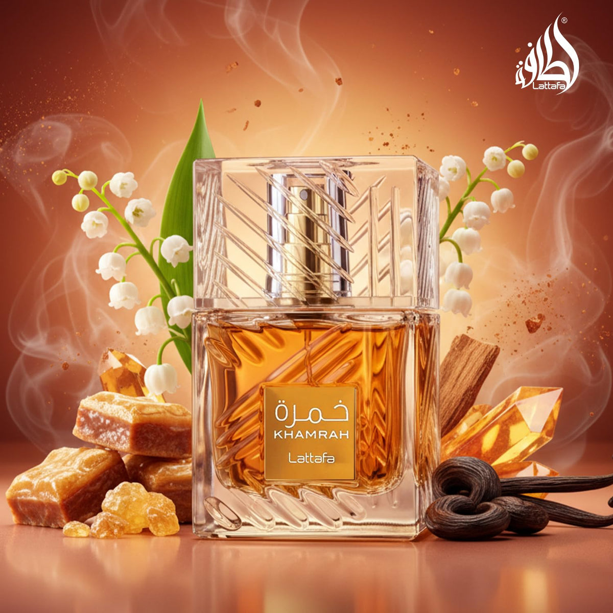 Vanilla Warm Spicy Amber Cinnamon Eau de Parfum 3.40 Ounce / 100 ml N21634
