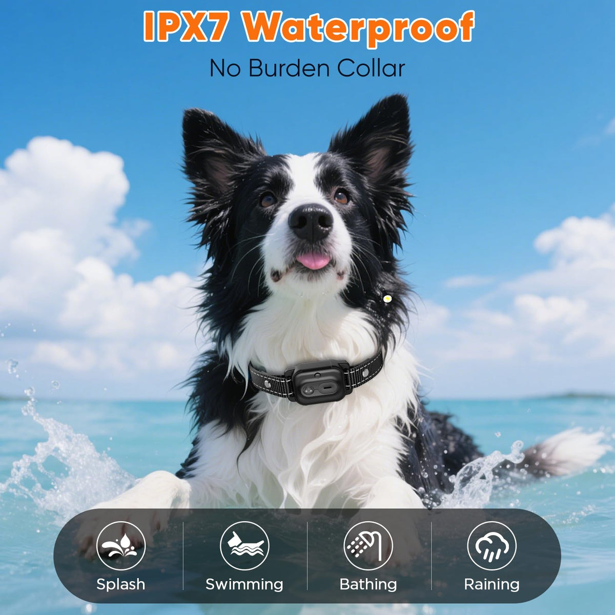 Orange Dog Training Collar with Remote Z152908