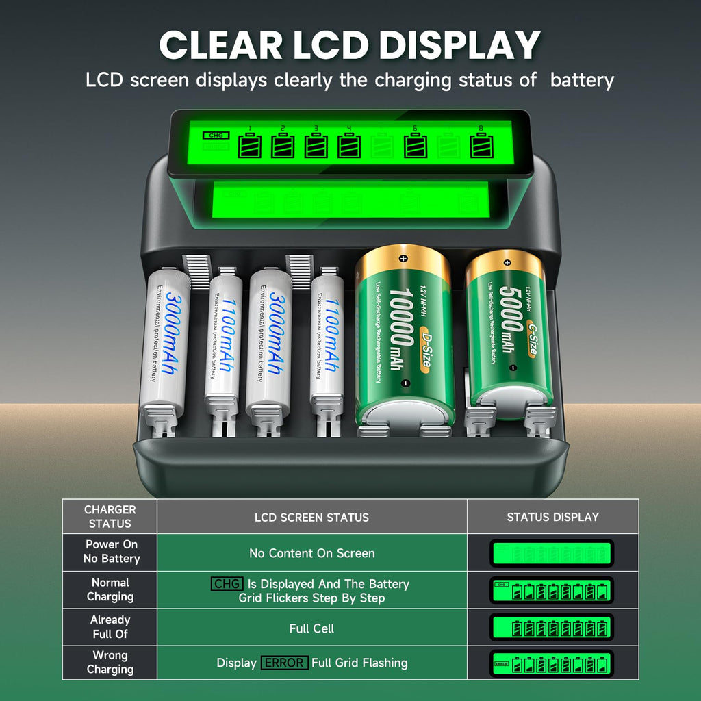 Rechargeable D Batteries with Charger R518