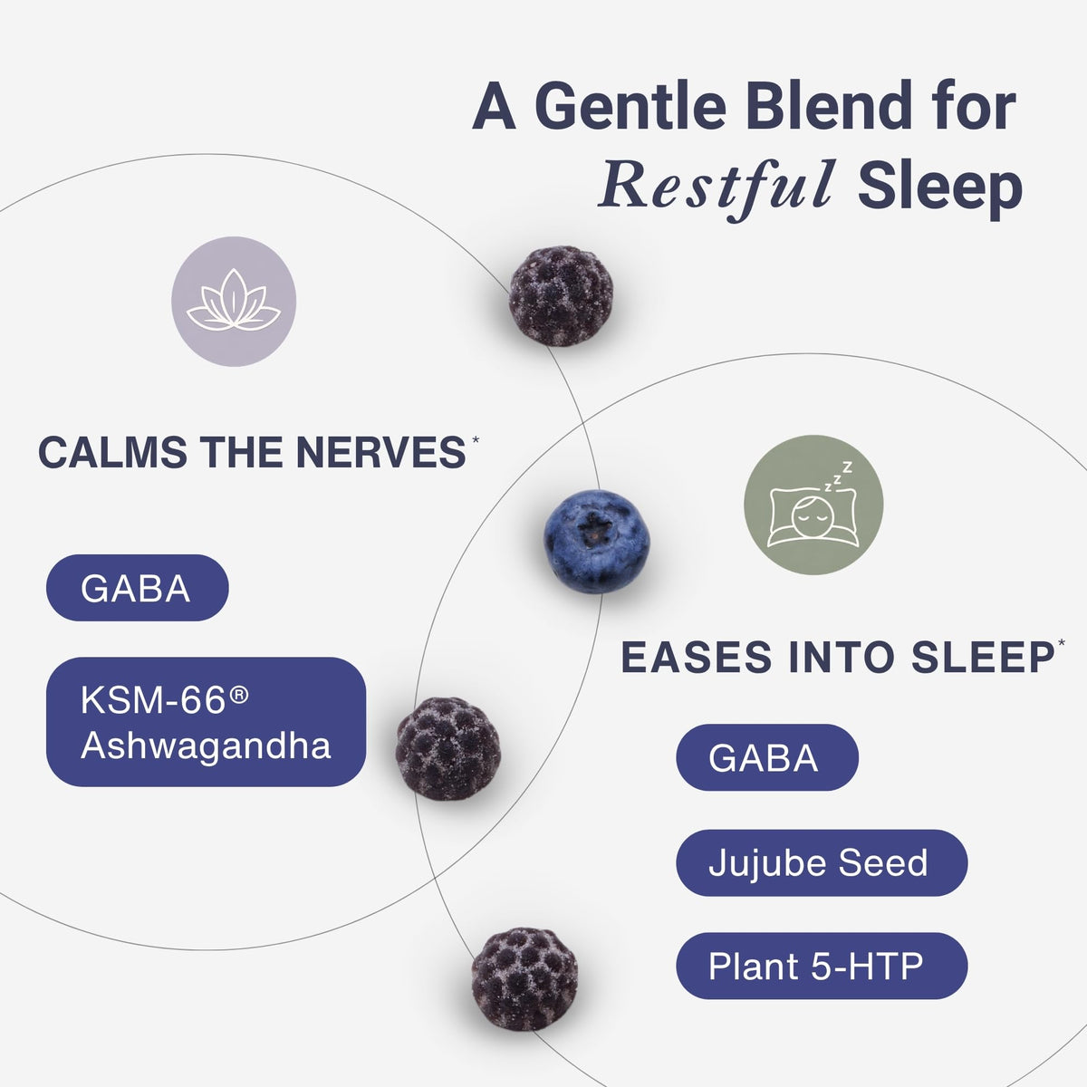 Calming Gummies with GABA, 5-HTP & Ashwagandha, Sugar-Free, Vegan, Natural Blueberry Flavor - 60 Count Y748