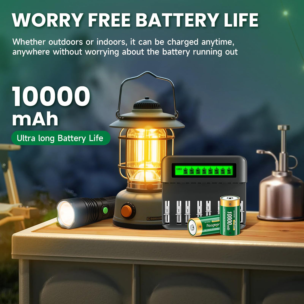 Rechargeable D Batteries with Charger R518