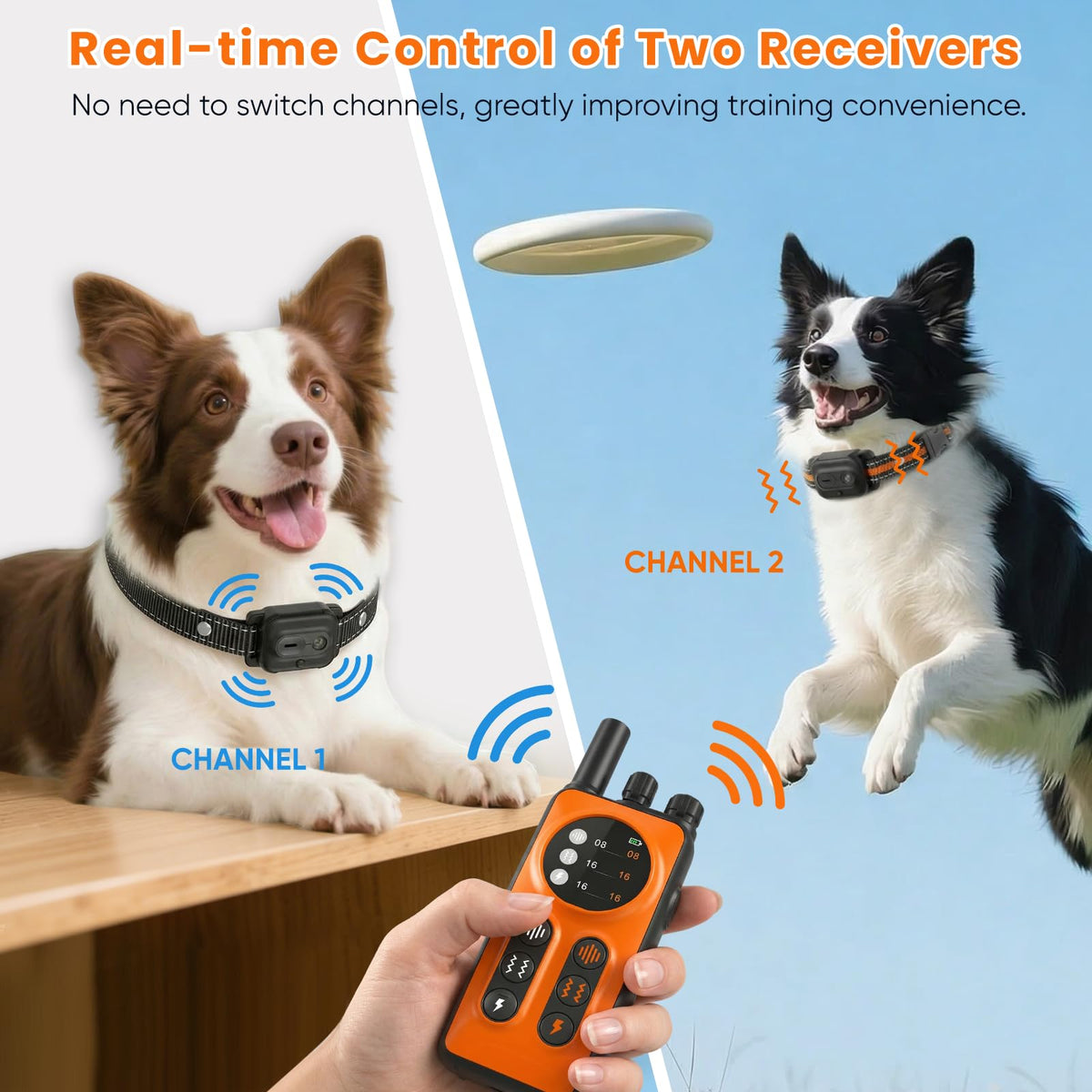 Orange Dog Training Collar with Remote Z152908