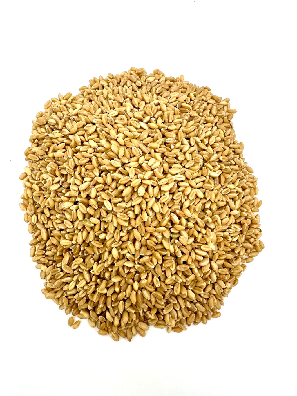 Organic White Wheat Berries 20lb B72457