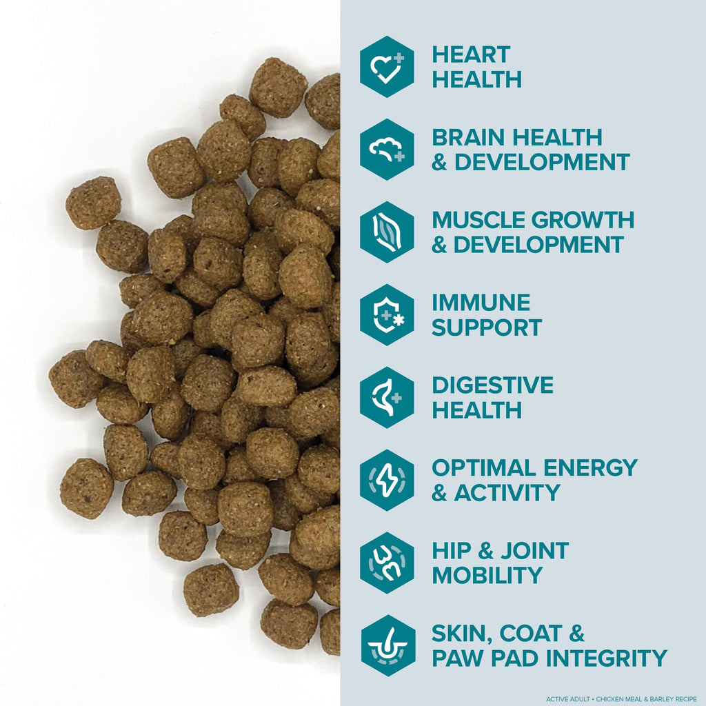 Active Dog Food Real Chicken & Barley 20 Pound Bag A953