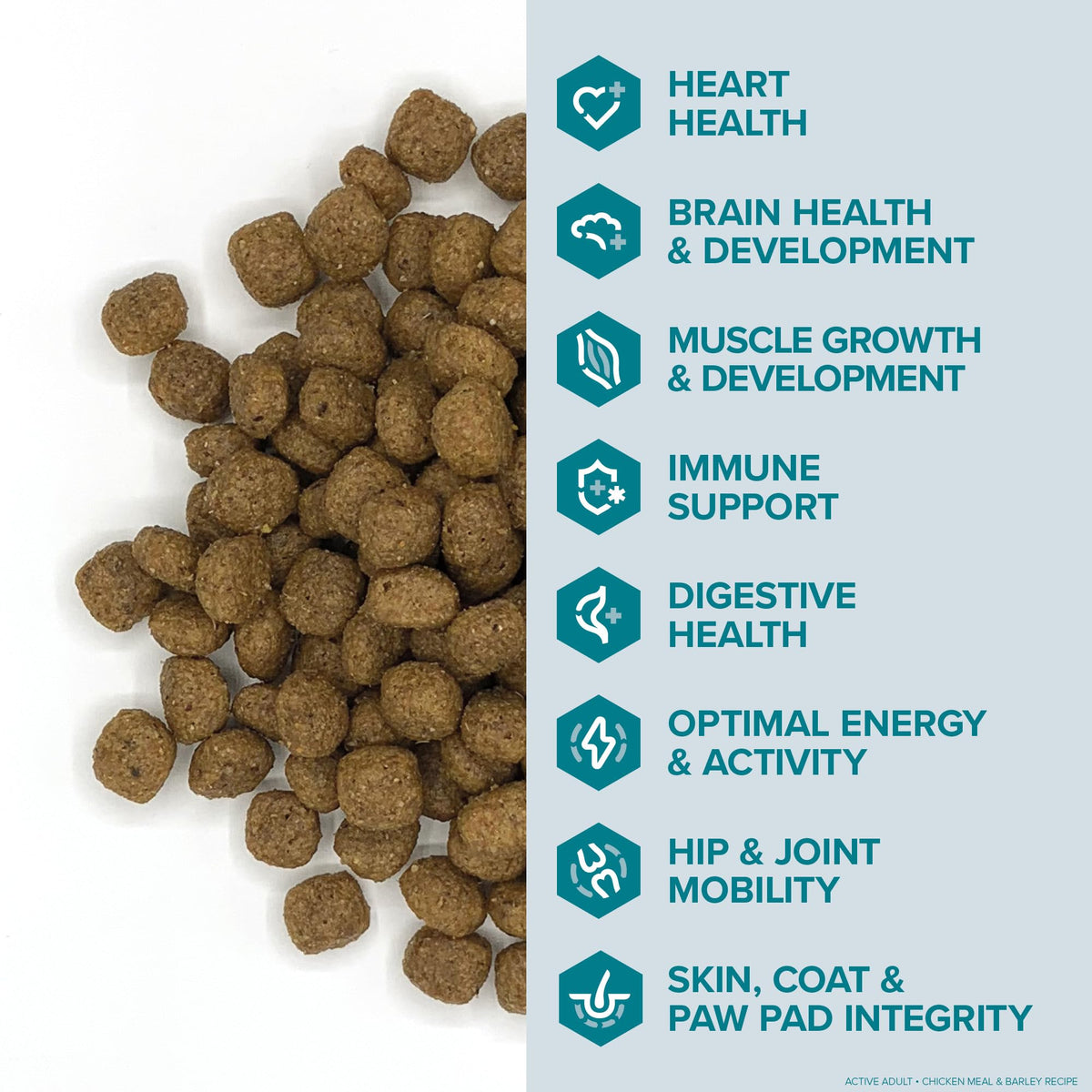 Active Dog Food Real Chicken & Barley 20 Pound Bag A953