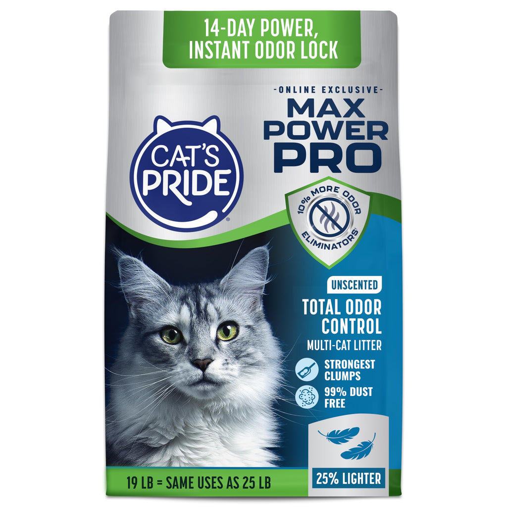Unscented Clumping Litter 19lb S473