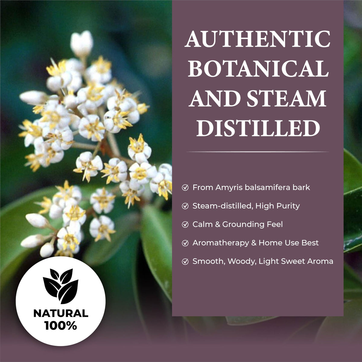 100% Natural Steam-Distilled Amyris Balsamifera Essential Oil 4 fl oz M708931