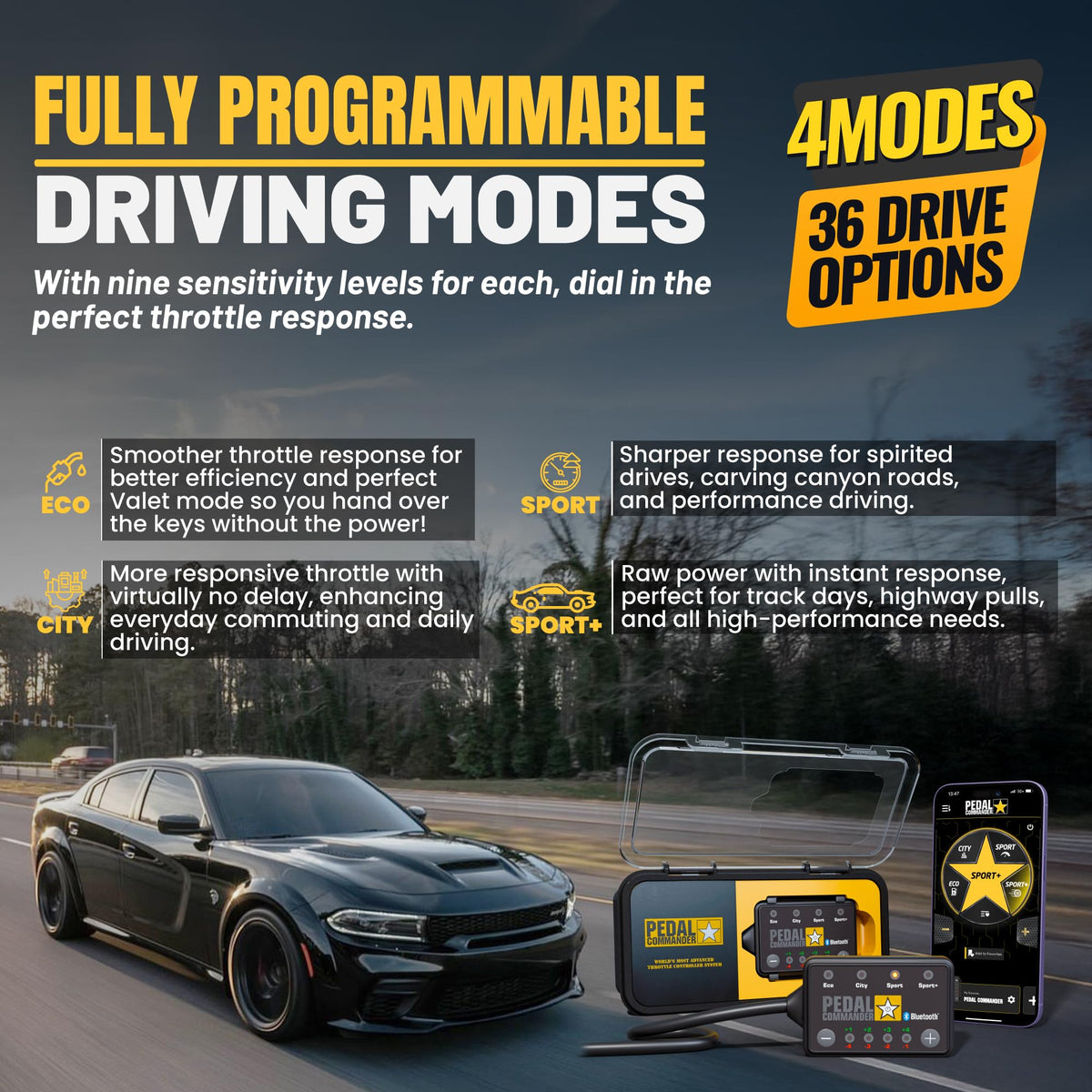 Throttle Response Controller R409