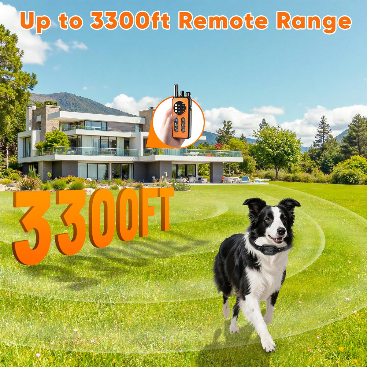 Orange Dog Training Collar with Remote Z152908