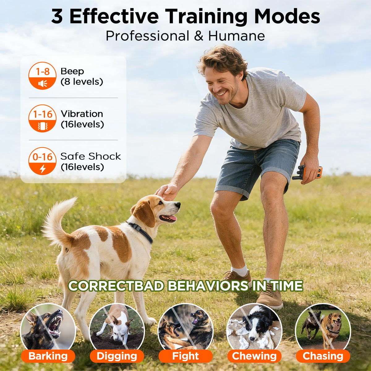 Orange Dog Training Collar with Remote Z152908