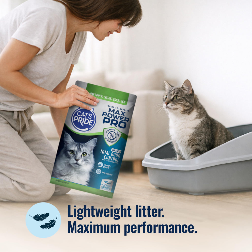 Unscented Clumping Litter 19lb S473