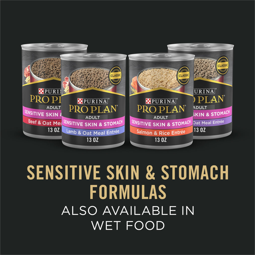 Salmon Dry Dog Food B760603