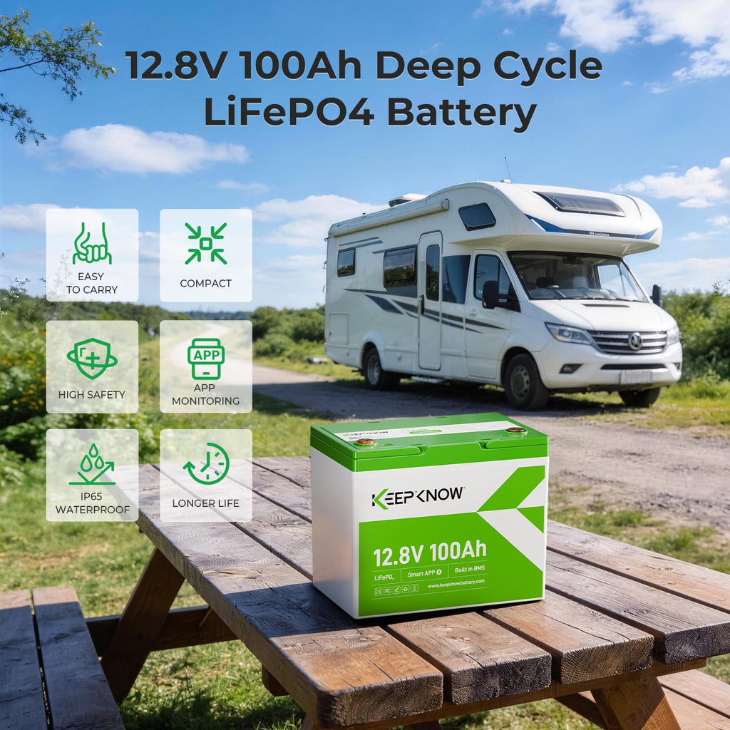 12V 100Ah Mini LiFePO4 Lithium Battery with Bluetooth W4195