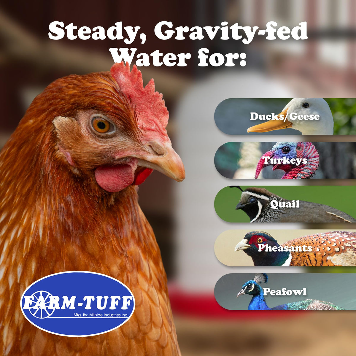 7 Gallon BPA-Free Plastic Hanging Chicken Waterer A62068