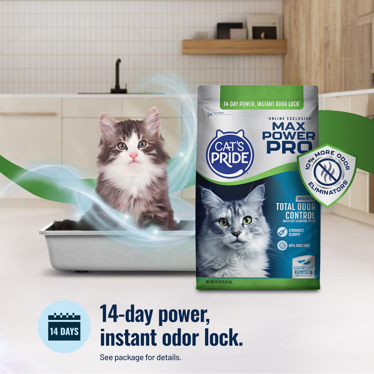 Unscented Clumping Litter 19lb S473