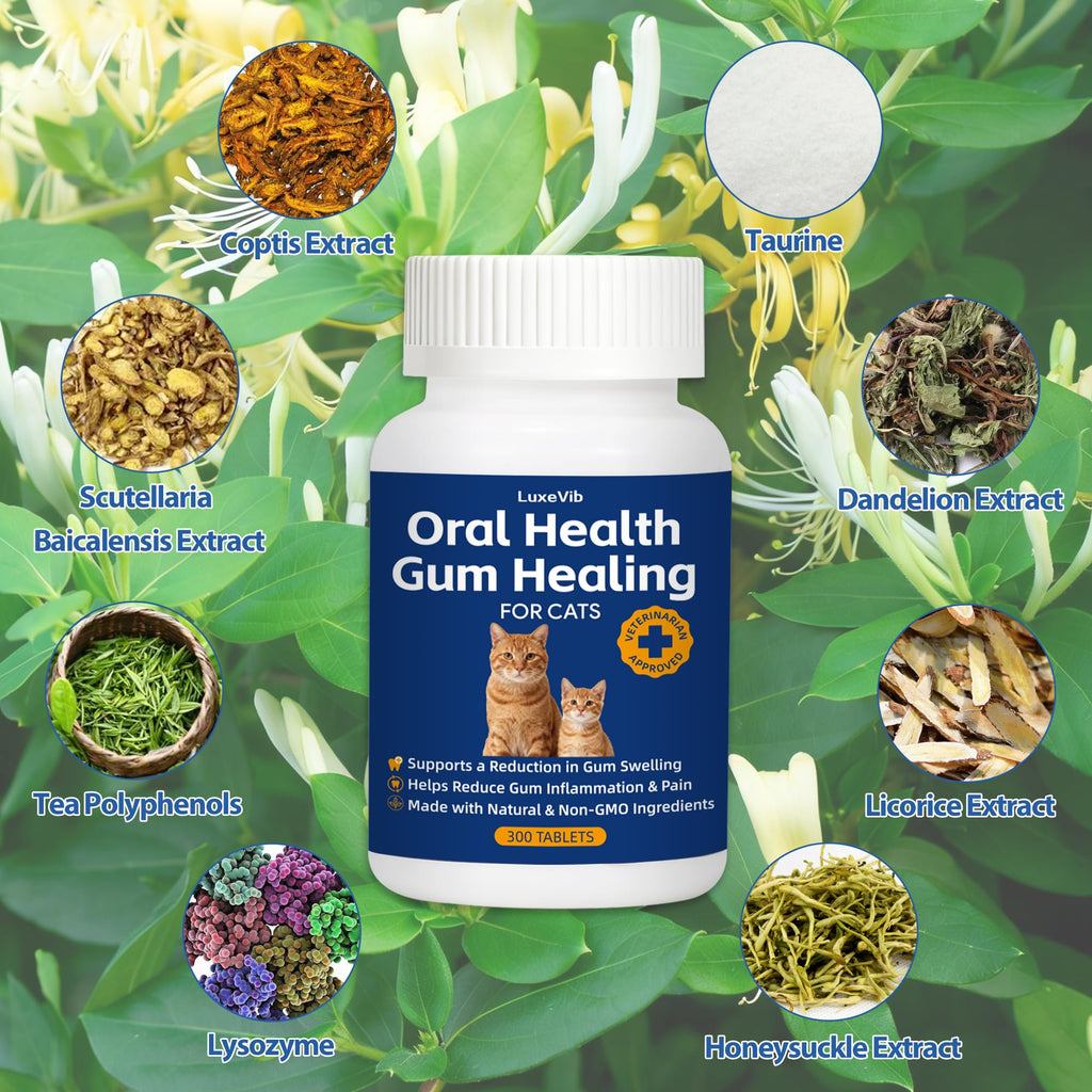 Natural Plant-Based Cat Oral Care J187162