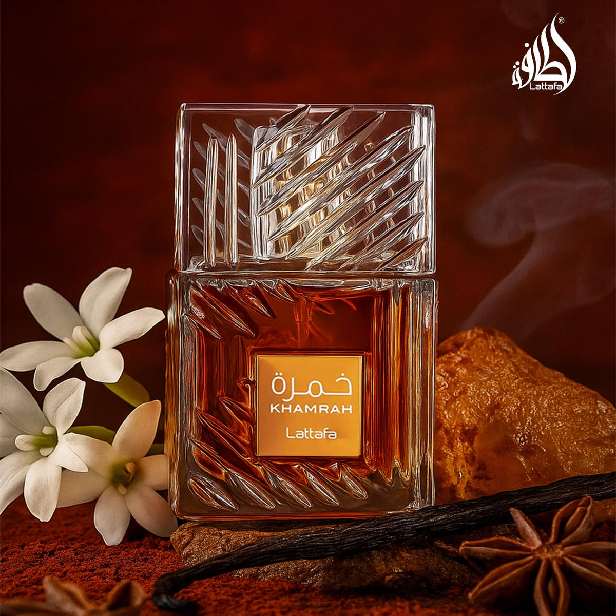 Vanilla Warm Spicy Amber Cinnamon Eau de Parfum 3.40 Ounce / 100 ml N21634