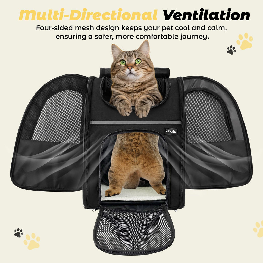 Expandable Airline Approved Cat Backpack Carrier with Breathable Mesh C255