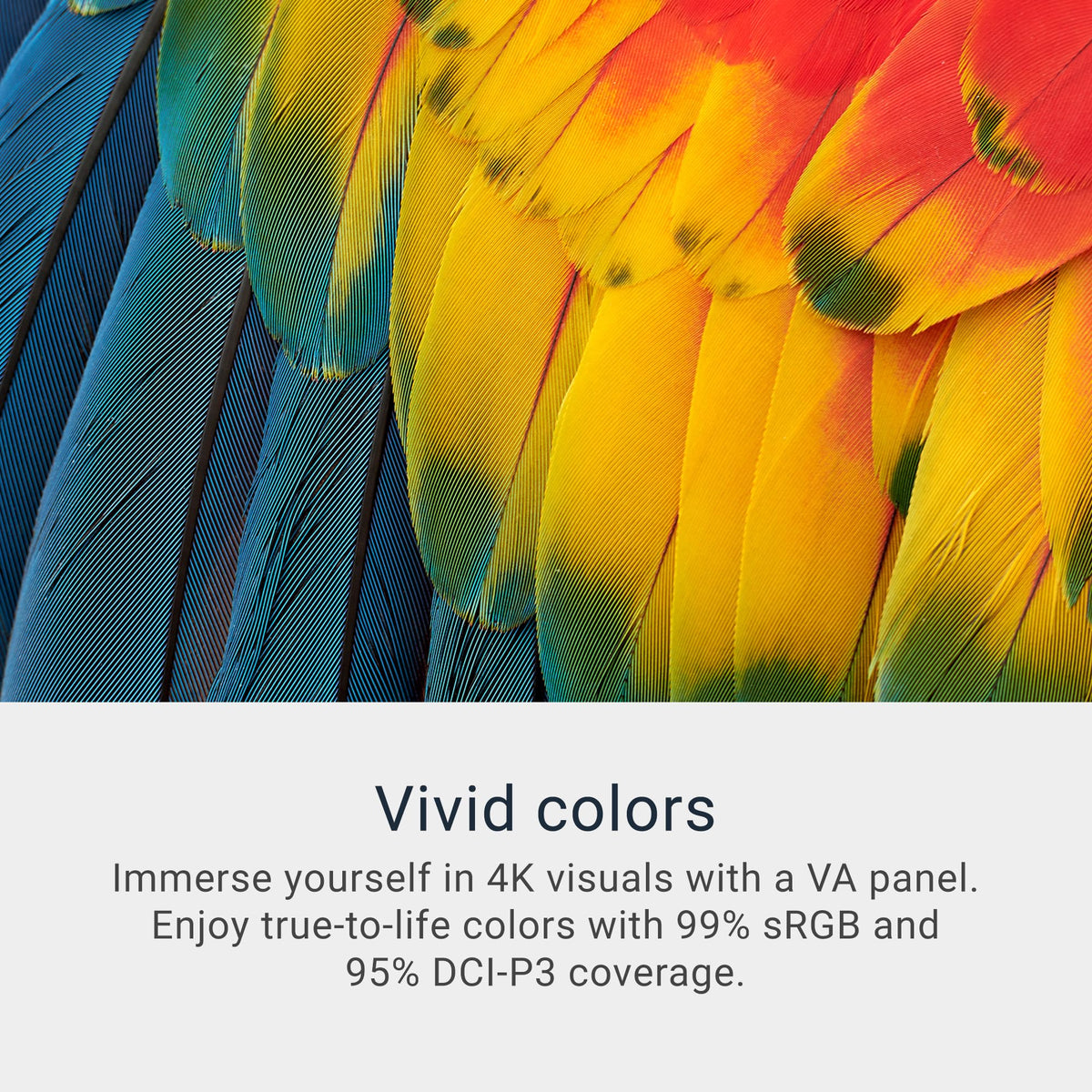 32 Monitor 4K UHD VA 120Hz FreeSync Premium S7107